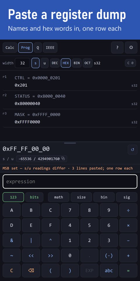 Prog mode at width 32 after three lines were pasted: CTRL = 0x0000_0201, STATUS = 0x8000_0040 and MASK = 0xFFFF_0000, one row each, with the flag 3 lines pasted; one row each.